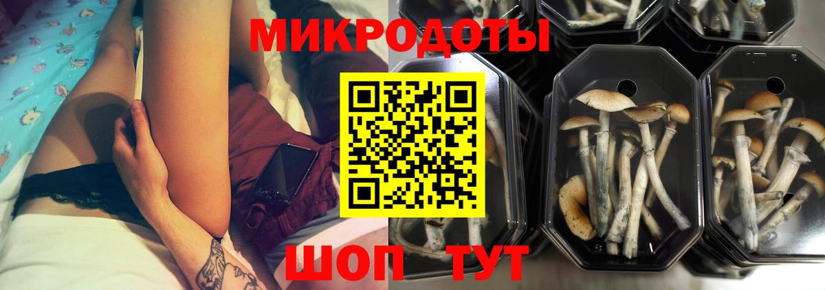 Воронеж  Галлюциногенные грибы Magic Shrooms  Вход с VPN 