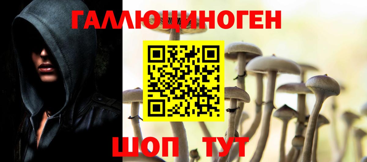 Псилоцибиновые грибы мухоморы Воронеж